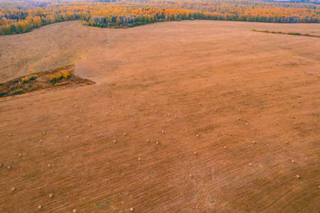 Rolls of hay, preparation of dry grass forage for cattle and cows, aerial top viewの写真素材