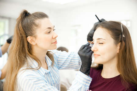 Master tinting of eyebrow hair women, brow correctionの写真素材