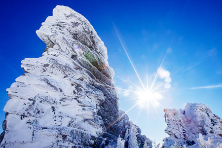 Landscape winter forest on mountain Mustag Kemerovo region Russiaの写真素材