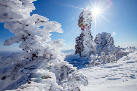 Landscape winter forest on mountain Mustag Kemerovo region Russiaの写真素材