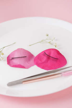 Copy space beauty fashion minimalism false eyelashes with tweezers for eyelash extension on flowerの写真素材