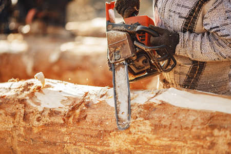 Industrial work carpenter sawing with chainsaw log, construction frame building site of house made of woodの写真素材