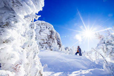 Snowboarder holds snowboard overhead against background of frozen rocks blue sky with sun, concept freeride on fresh snowの写真素材