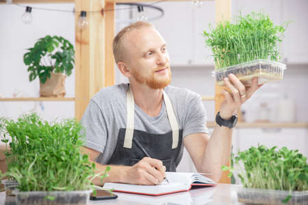 Man farmer growing microgreen baby sprouts beans pea and sunflower on box, business homeの写真素材