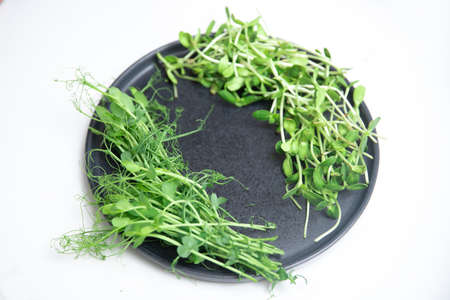 Closeup Microgreen sprouts baby beans pea and sunflower on white isolated backgroundの写真素材