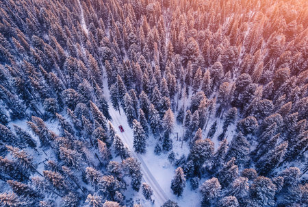 Red car driving on winding road through snowy forest, sun light. Concept winter travel, aerial view