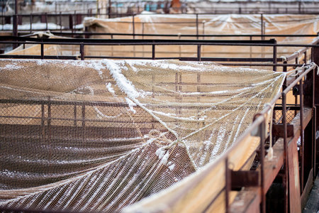 Fish farm for breeding for rainbow trout and salmon fry in net cages. Concept aquaculture...