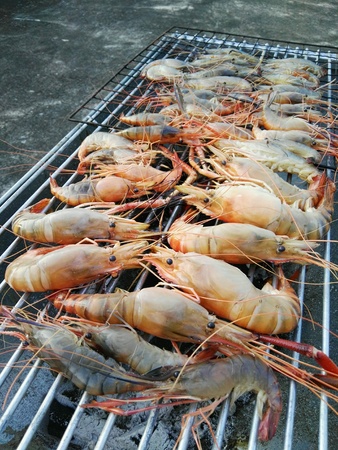 Grilled shrimpの素材