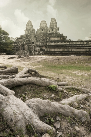 Root of Big Tree in front of Ta-Keaw Castle, Angor Cambodiaの写真素材