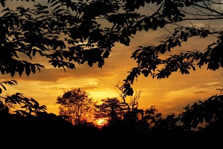 Sunset with Silhouette Forestの写真素材