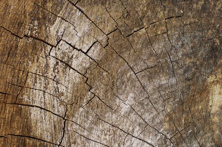 Wood Cracked Patternの写真素材