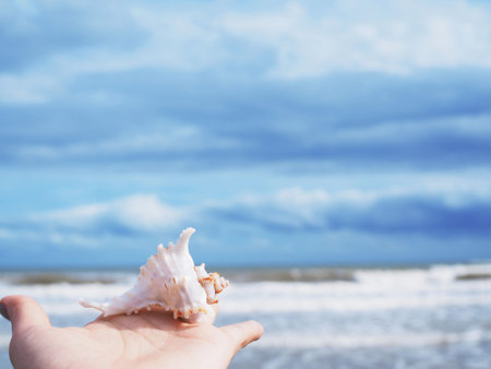 Sea shells and blue sky