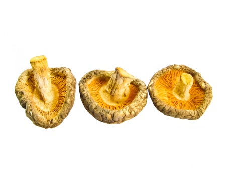 three dried mushroomの写真素材