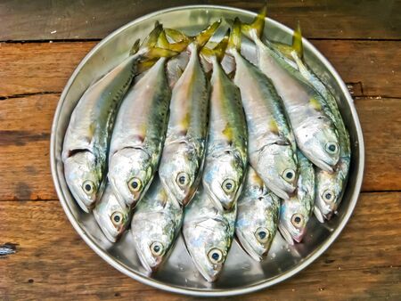 fresh mackerel fish on plateの写真素材