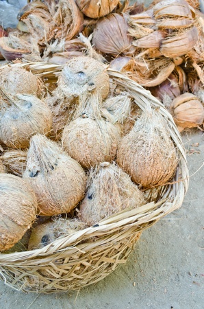 group of coconut in baskeの写真素材
