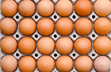 Chicken egg food carton package background
