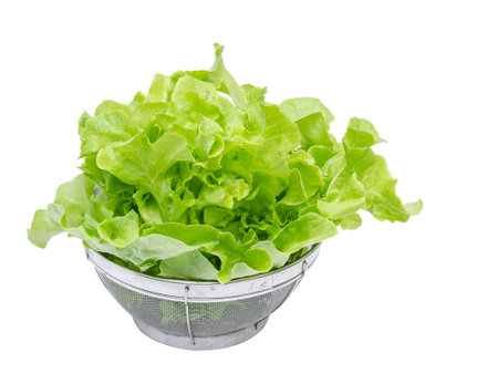 Fresh green vegetable over white