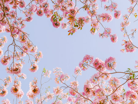 Pink trumpet flower blooming over blue sky background