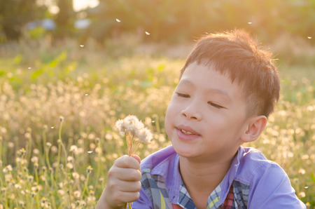 Asian child blowing away flower in springの写真素材