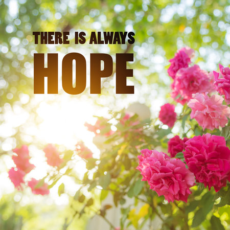 Inspirational Typographic Quote - There is always hope on flower and bokehの写真素材