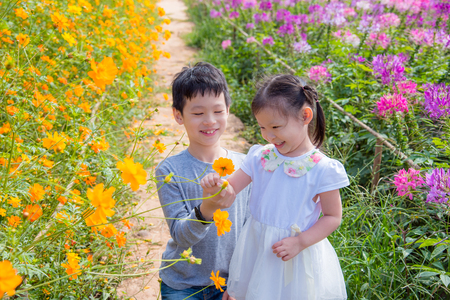brother and sister in flower fieldの写真素材