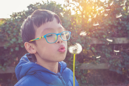 boy blowing flower seed in parkの写真素材