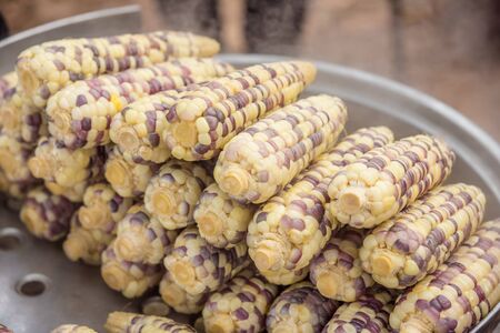 corn at marketの写真素材