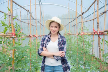 Beautiful asian farmer standing with crossed arm and smiles in her melon farm.の写真素材