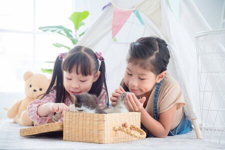 Two asian girls lying on the floor and playing with little kitten.の写真素材