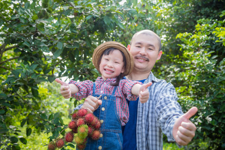 Asian male gardener and his daughter harvest rambutan fruit in his organic fruit garden,Organic...