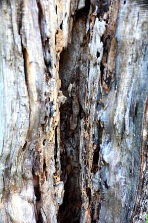 What's insideの写真素材