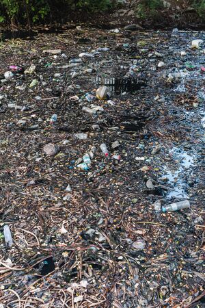 wasted or spoiled food and other refuse, as from a kitchen or household. 8の写真素材