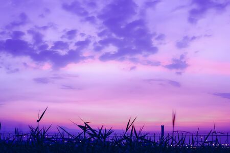 the city in the twilight (2)の写真素材