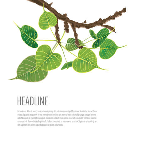 Buddhist Tree on illustration graphic vectorのイラスト素材