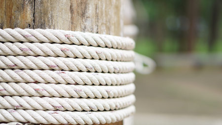 closeup knot of thick rope tied around a wooden stake,