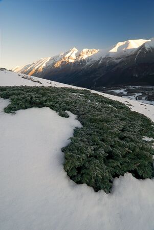 Snow mountains with winter vegetationの写真素材