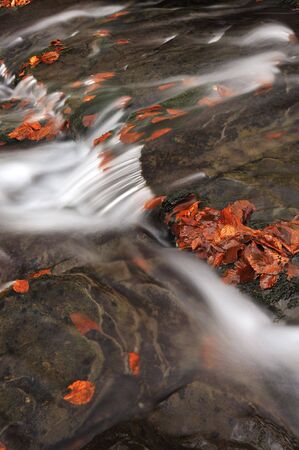 Mountain creekの写真素材