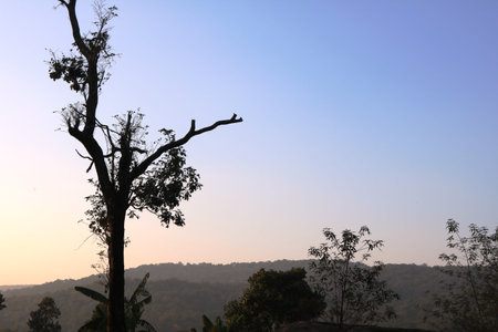 BEAUTIFUL NATURE SCENERY PHOTOの写真素材