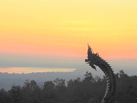 Naga artの写真素材