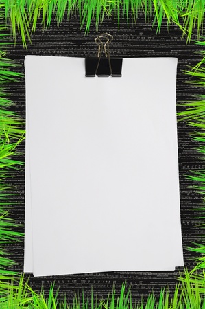 Black clip and white blank note paper with green grassの写真素材