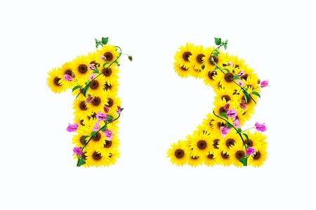 sunflower numbers 1 2 isolated on white background の写真素材