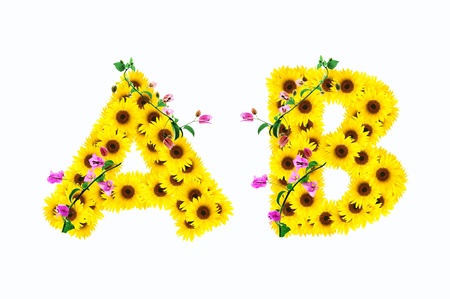 sunflower alphabet A B isolated on white background の写真素材