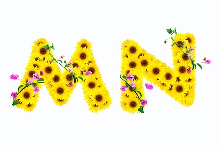 sunflower alphabet M N isolated on white background の写真素材