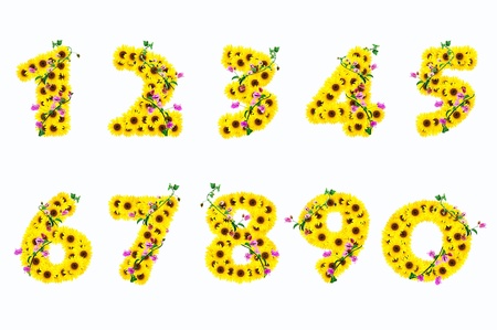 sunflower numbers 0 - 9 isolated on white background の写真素材