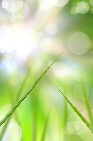 abstract beautiful fresh grass and light reflect in morningの写真素材