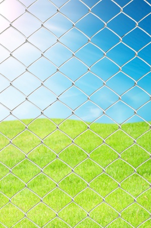 chain link fence see fresh grass and blue skyの写真素材