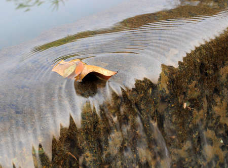 water flowing through dry leaves in the canalの写真素材