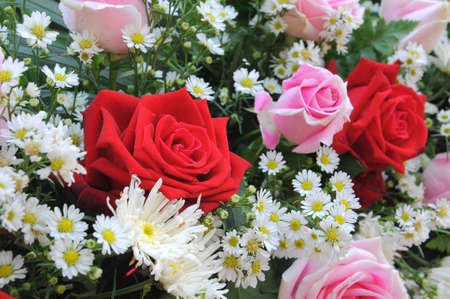 bouquet of rosesの写真素材