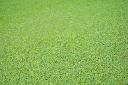 artificial grass pattern backgroundの写真素材