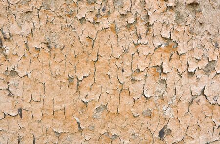 grunge wall for backgroundの写真素材